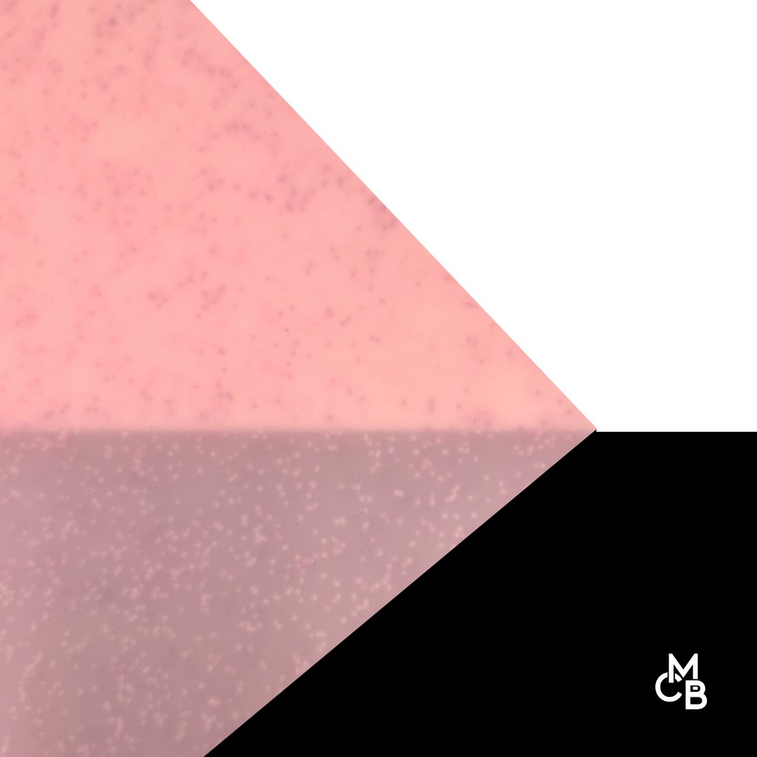 1/8" Rose Quartz Glitz Glitter Cast Acrylic Sheets - Acrylic Sheets