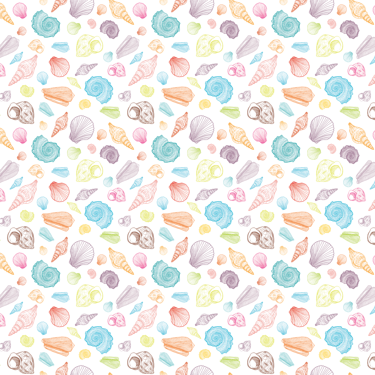 Bright Seashells Pattern Acrylic Sheets - CMB Pattern Acrylic