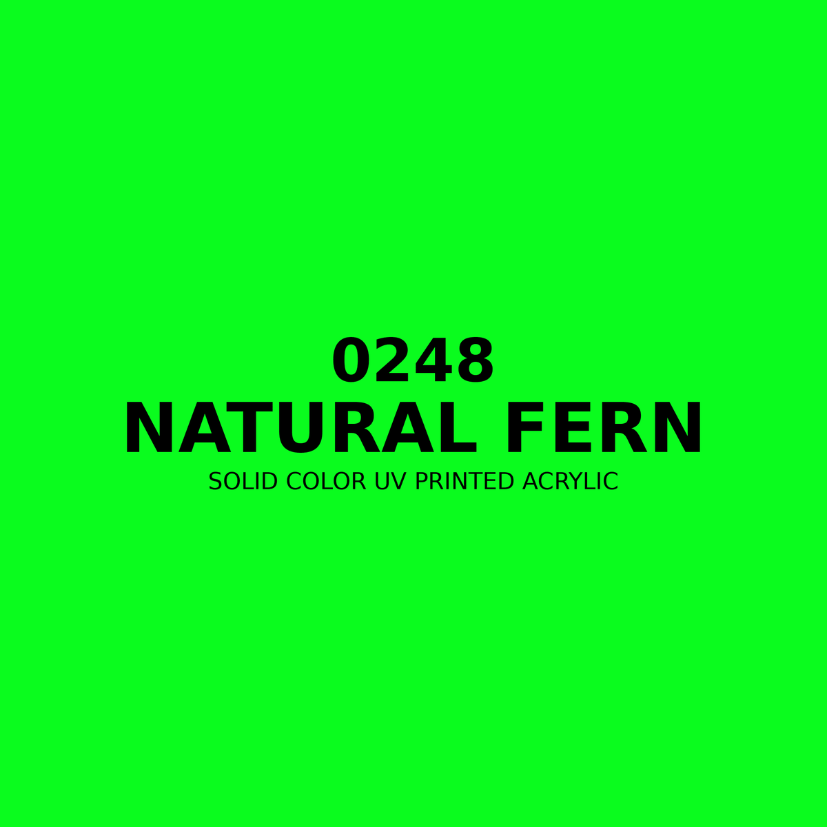 0248 | Natural Fern | Solid Color UV Printed Acrylic - Solid Color UV Printed Acrylic
