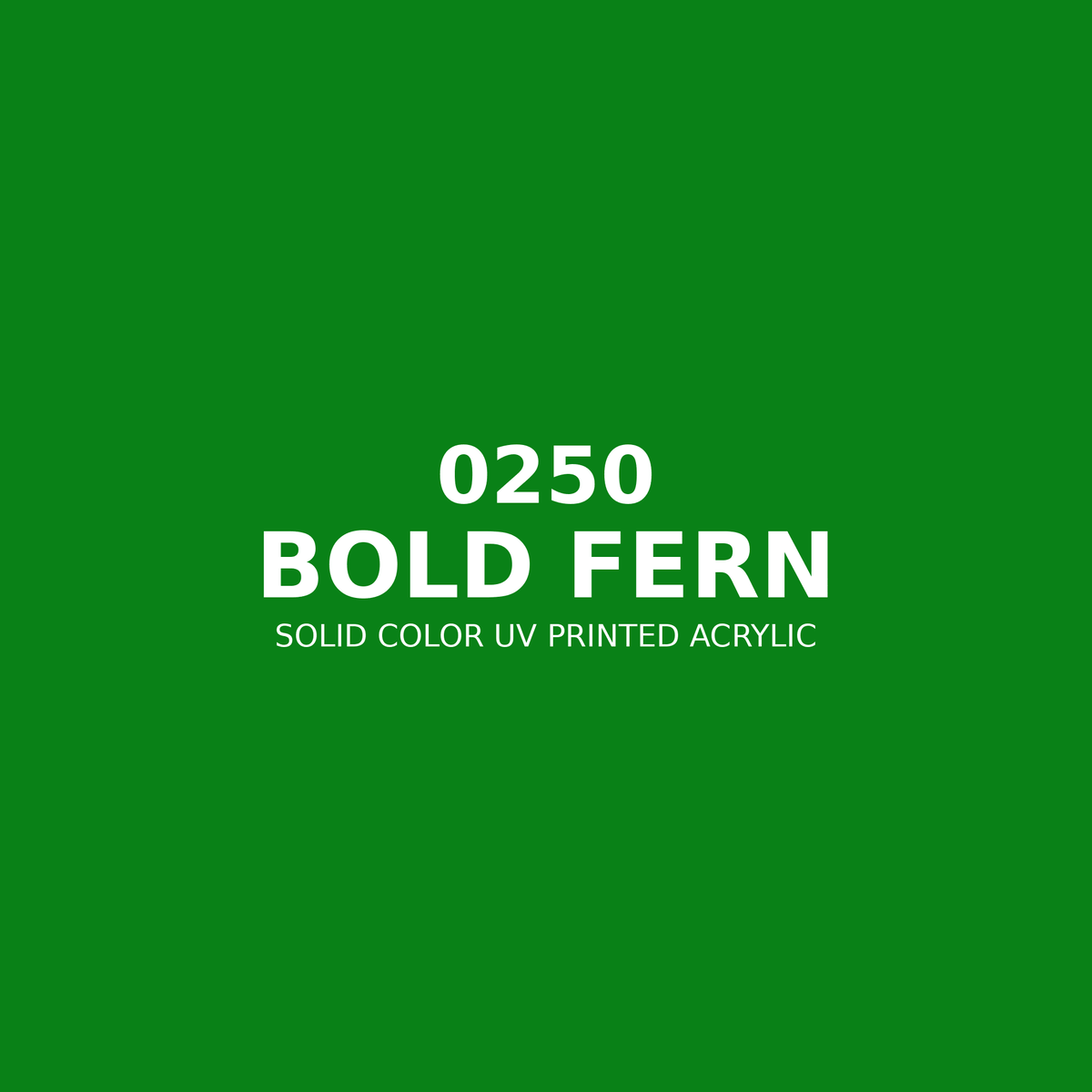 0250 | Bold Fern | Solid Color UV Printed Acrylic - Solid Color UV Printed Acrylic