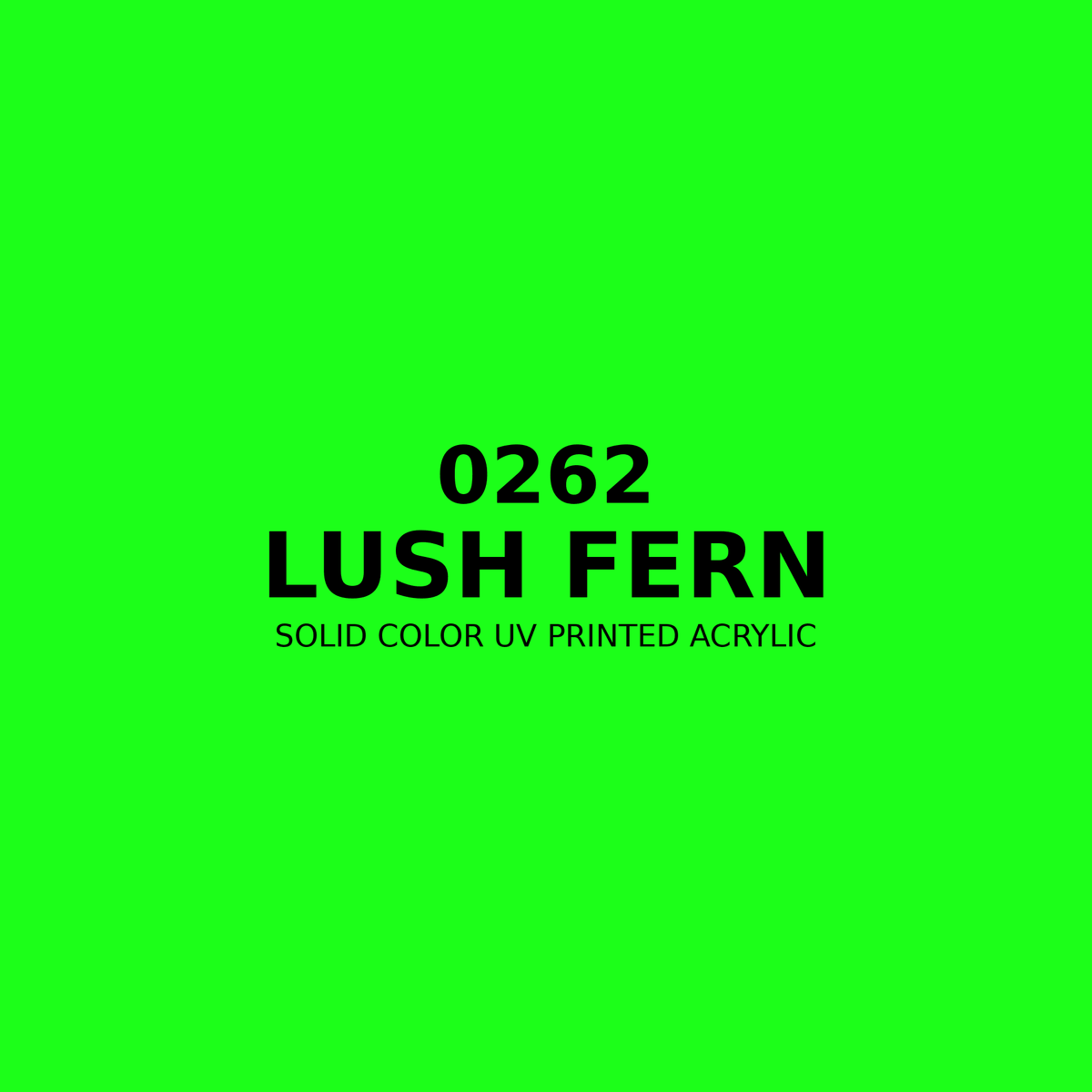 0262 | Lush Fern | Solid Color UV Printed Acrylic - Solid Color UV Printed Acrylic