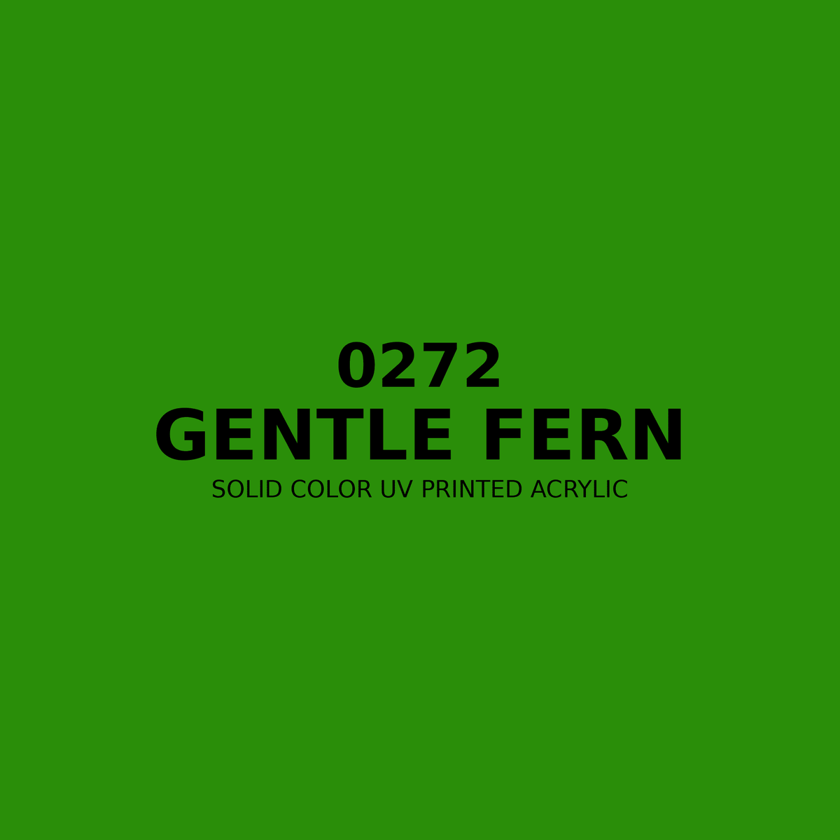 0272 | Gentle Fern | Solid Color UV Printed Acrylic - Solid Color UV Printed Acrylic