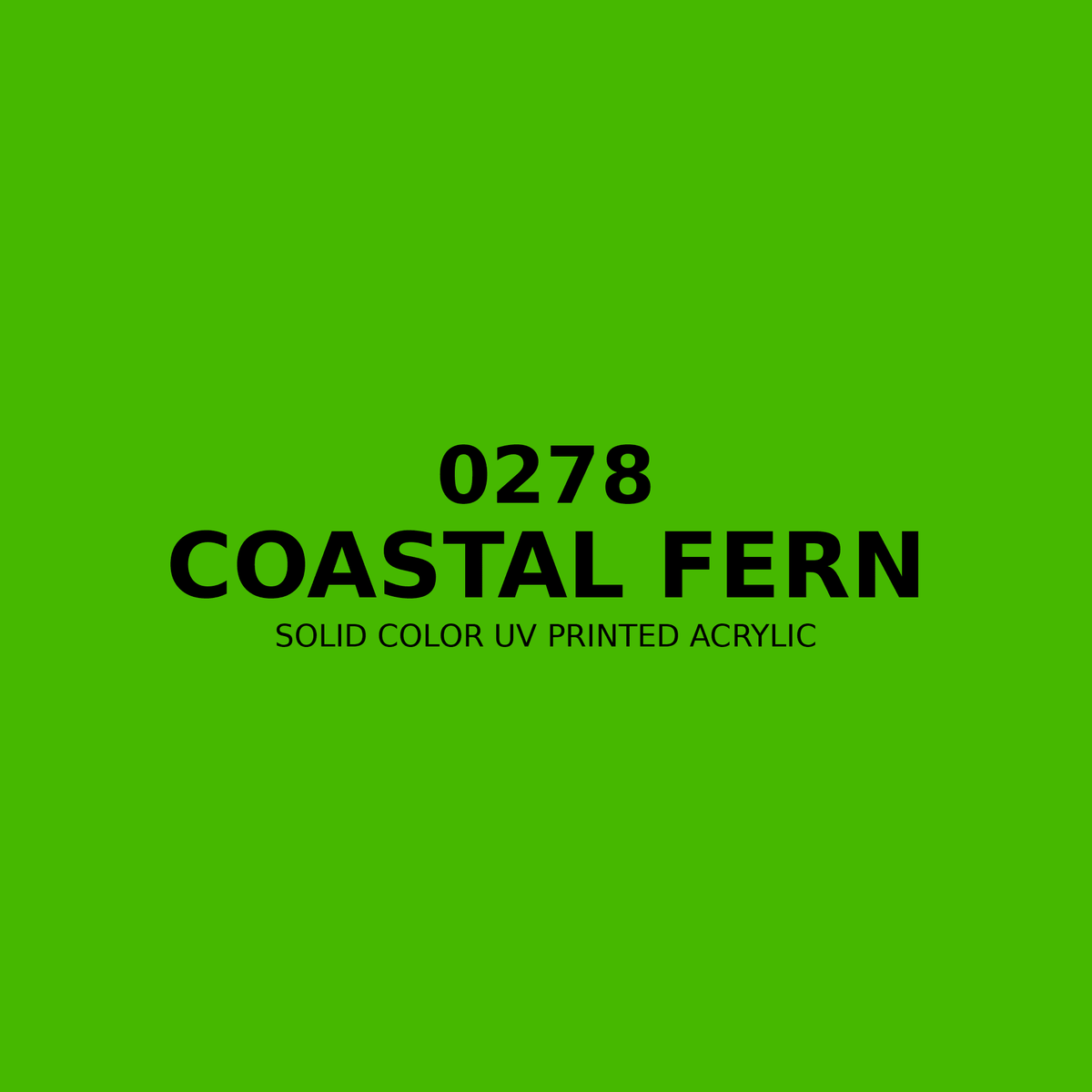 0278 | Coastal Fern | Solid Color UV Printed Acrylic - Solid Color UV Printed Acrylic