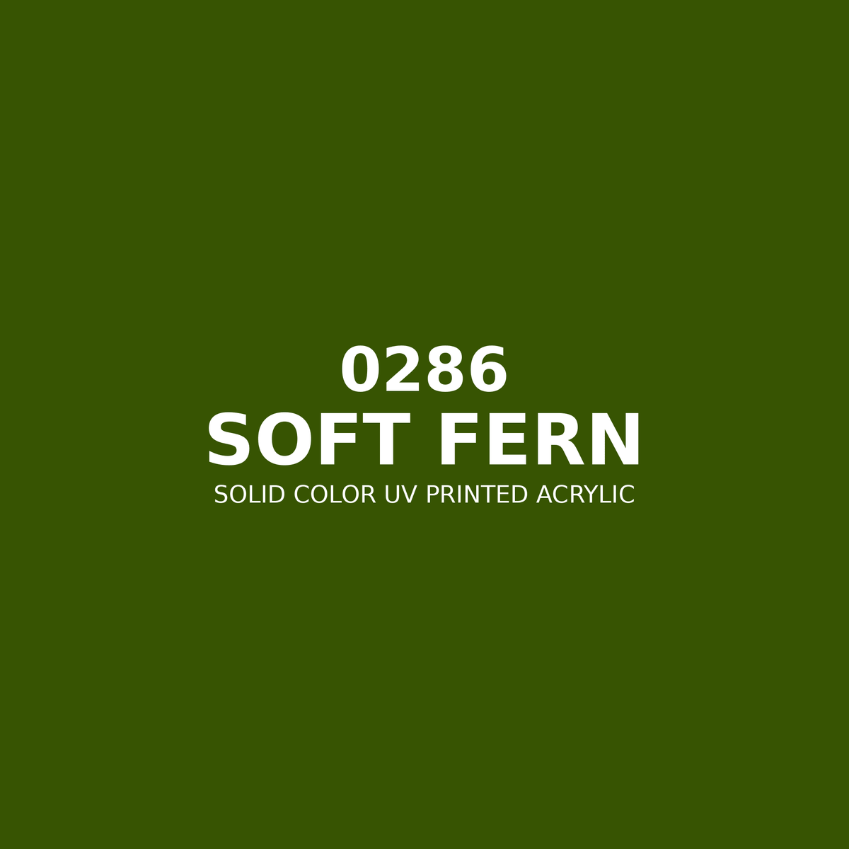 0286 | Soft Fern | Solid Color UV Printed Acrylic - Solid Color UV Printed Acrylic