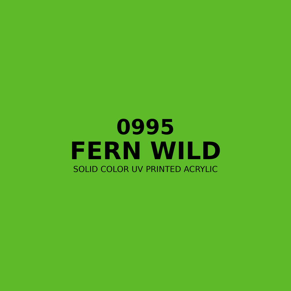 0995 | Fern Wild | Solid Color UV Printed Acrylic - Solid Color UV Printed Acrylic