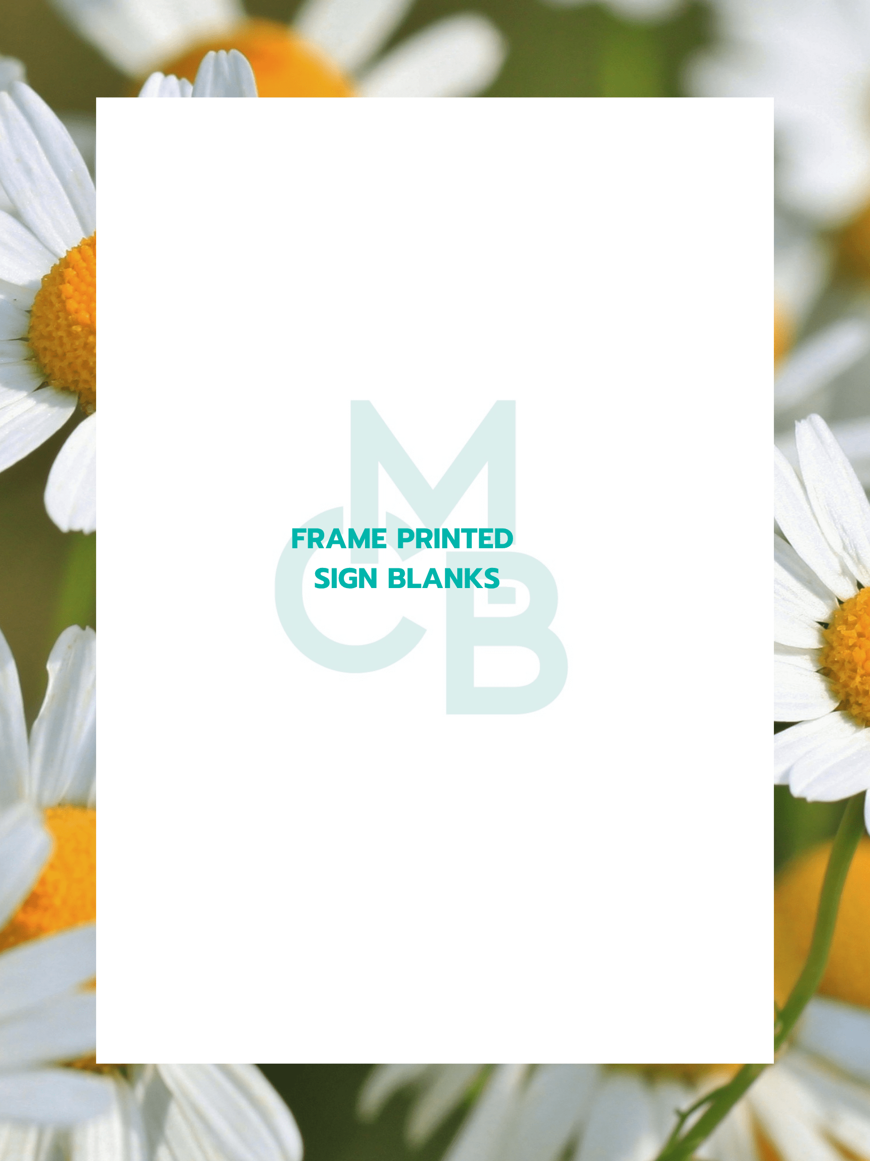 Frame Printed Acrylic Sign Blanks | Real Daisy's - Acrylic Blanks