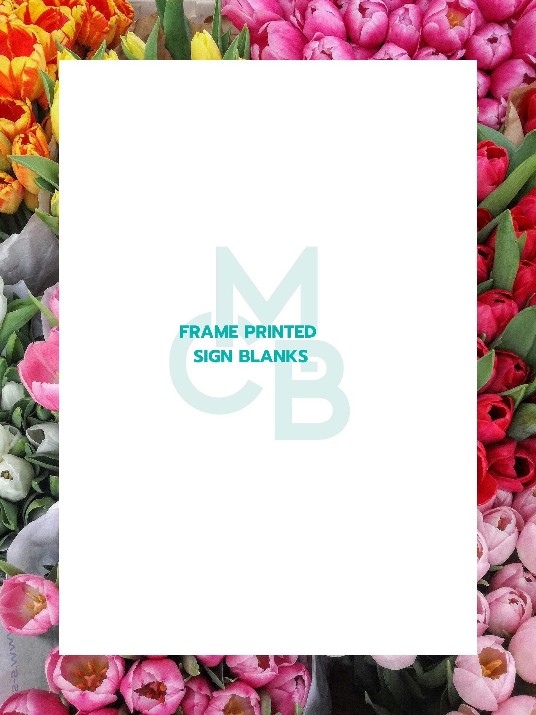 Frame Printed Acrylic Sign Blanks | Tulips - Acrylic Blanks