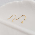 Gold Sleek Forward - Facing Stainless Steel Ear Wires, 20 Pieces, Earring Hook 1 - 