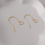 Gold Statement Large Loop Stainless Steel Ear Wires (6mm), 20 Pieces, Earring Hook 11 - 