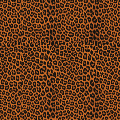 P1244 | Orange Leopard.eps - CMB Pattern Acrylic