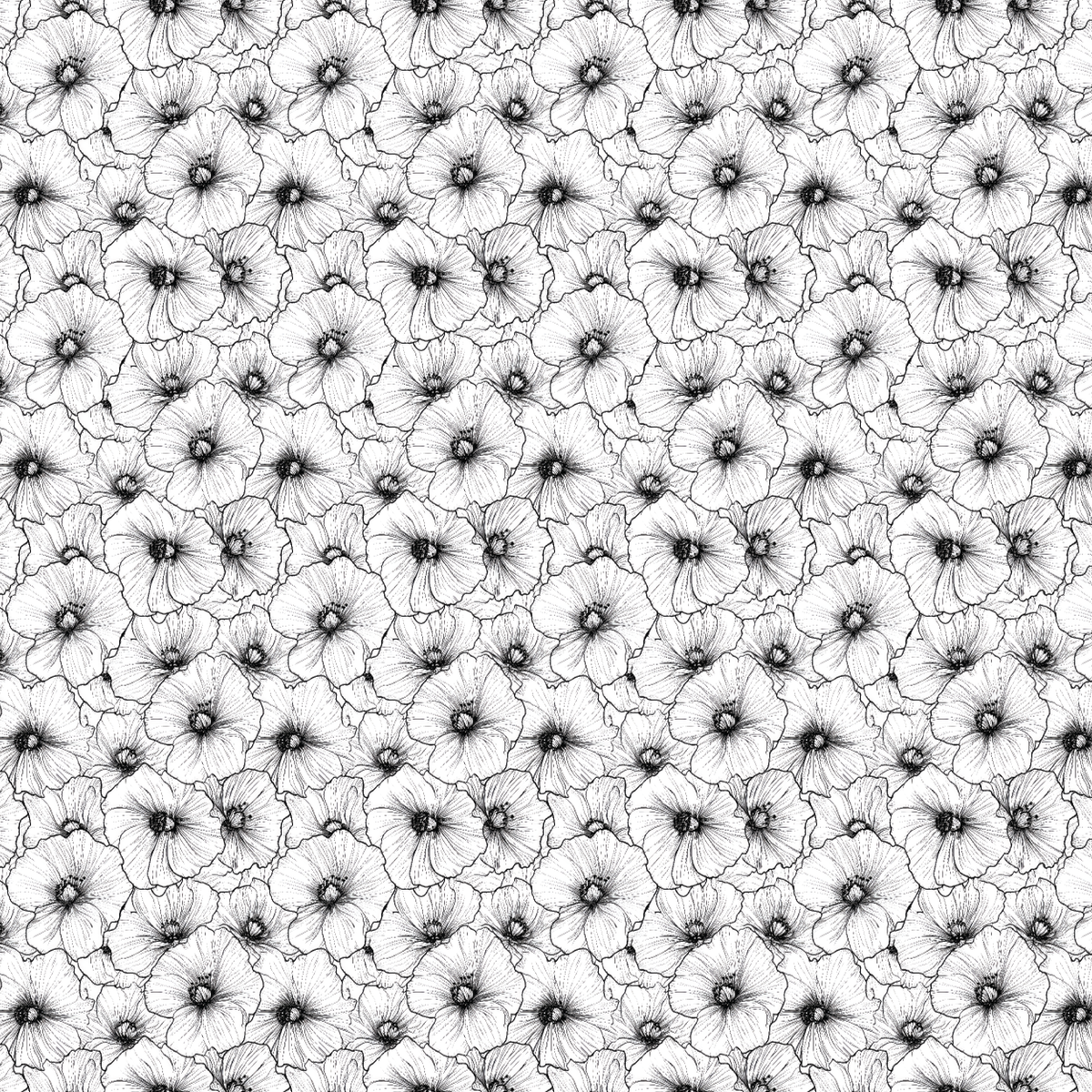 P1390 | Black Hibiscus Line Art Pattern Acrylic Sheets - Patterns