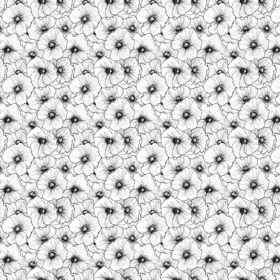 P1390 | Black Hibiscus Line Art Pattern Acrylic Sheets - Patterns