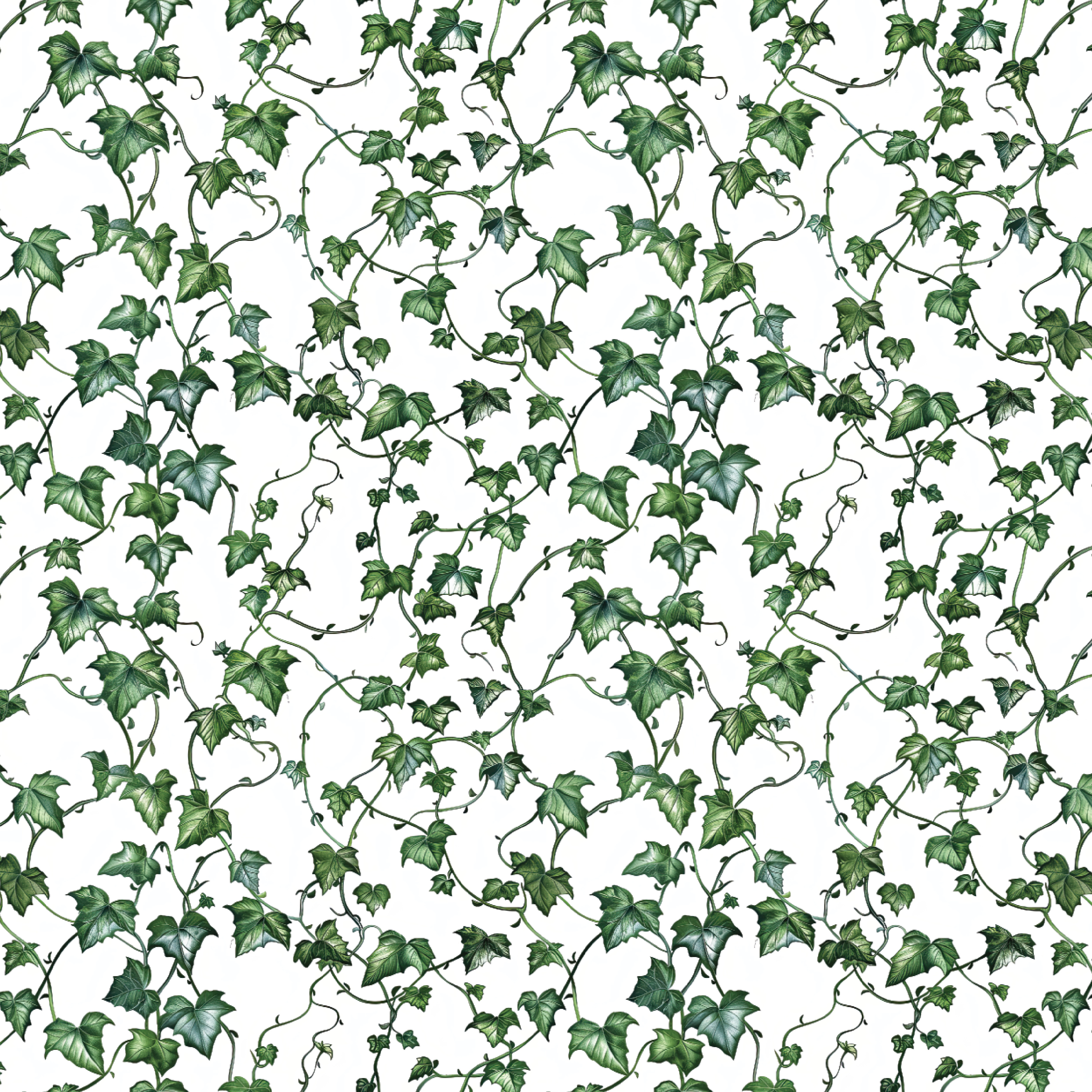 P1431 | Ivy Floral 01 Pattern Acrylic Sheets - Patterns
