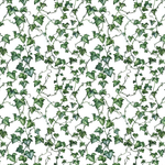P1431 | Ivy Floral 01 Pattern Acrylic Sheets - Patterns