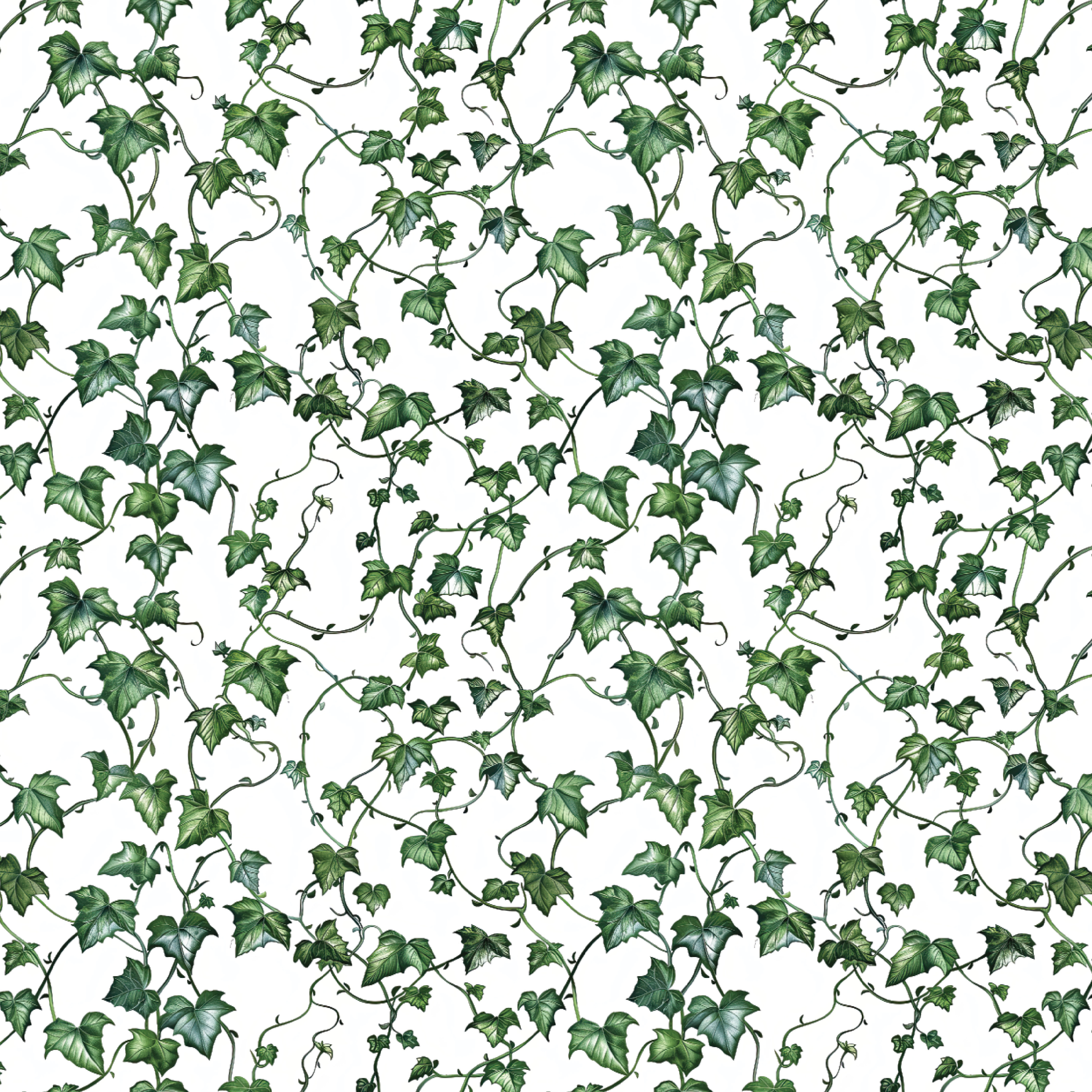 P1431 | Ivy Floral 01 Pattern Acrylic Sheets - Patterns