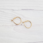 Premium Gold 20mm Leverback Stainless Steel Hoop (1.2mm Wide), 10 Pieces, Hoop 1 - 