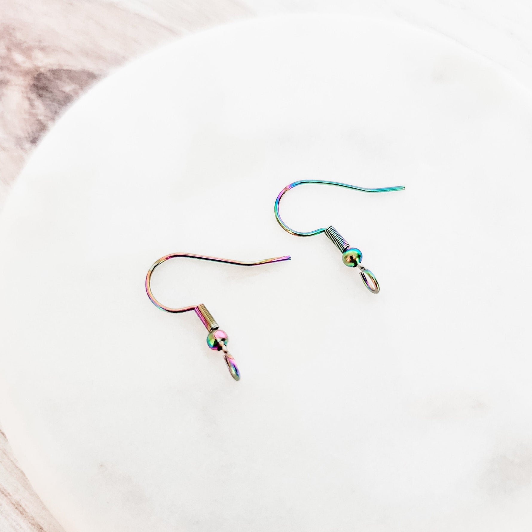 Rainbow Classic Forward - Facing Stainless Ear Wires, 20 Pieces, Earring Hook 48 - 