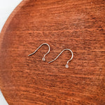 Silver Modern Forward - Facing Stainless Steel Ear Wires, 20 Pieces, Earring Hook 2 - 
