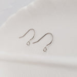 Silver Modern Forward - Facing Stainless Steel Ear Wires, 20 Pieces, Earring Hook 2 - 