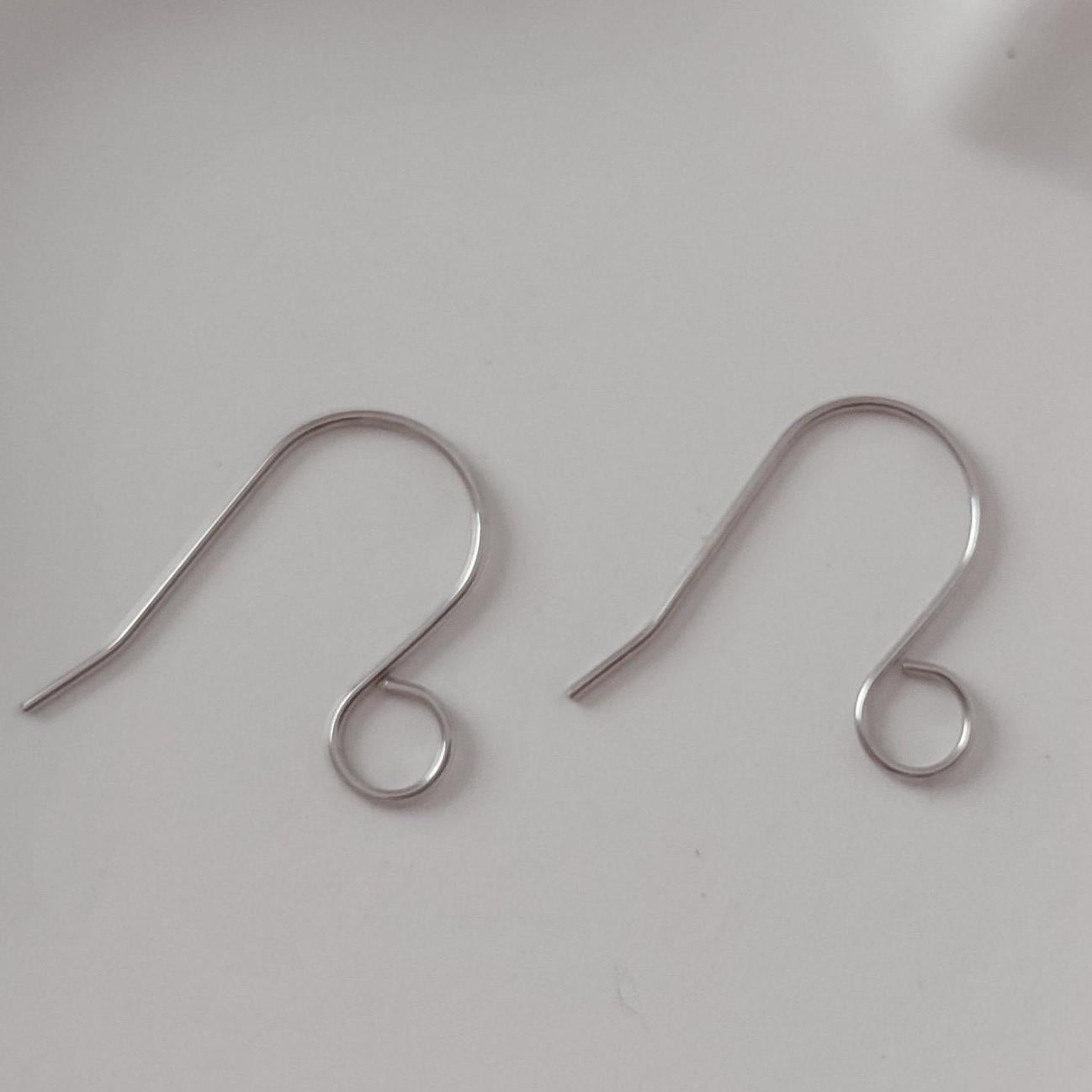 Silver Statement Large Loop Stainless Steel Ear Wires (6mm), 20 Pieces, Earring Hook 12 - 