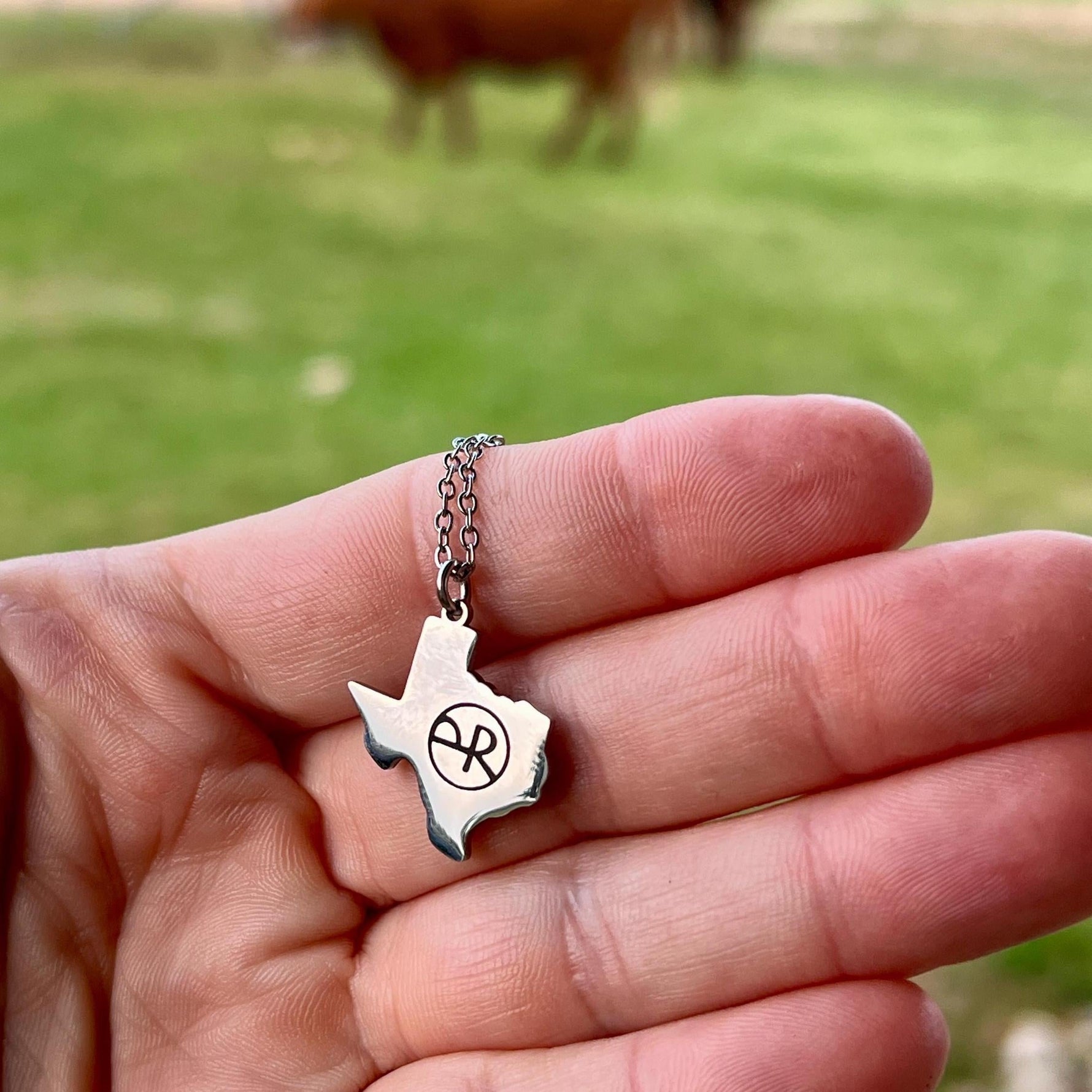 Texas Pendant Necklace (Silver or Gold), 1 Total, Metal Blank 110 - 