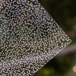 1/8" Bubbles Clear Cast Acrylic Sheets - Acrylic Sheets