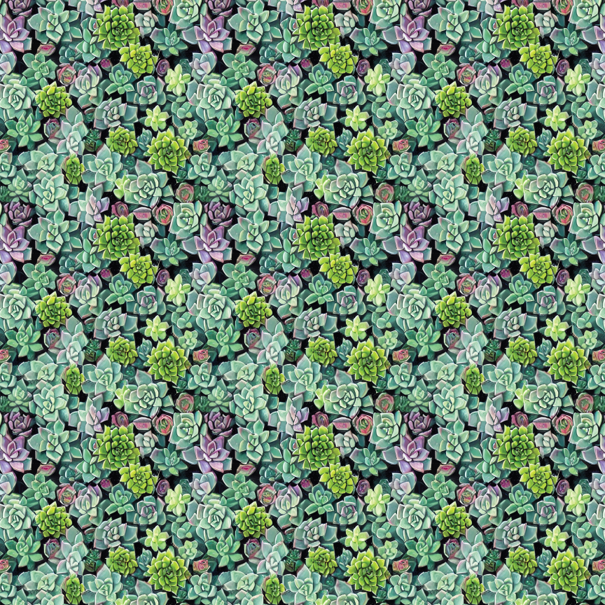 Succulents Pattern Acrylic Sheets -  CMB Pattern Sheets - Local Plastic & Wholesale Acrylic Sheets Supplier