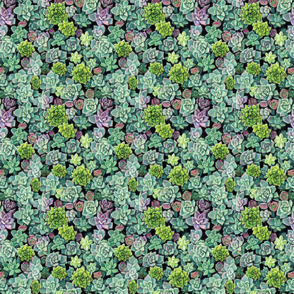 Succulents Pattern Acrylic Sheets -  CMB Pattern Sheets - Local Plastic & Wholesale Acrylic Sheets Supplier
