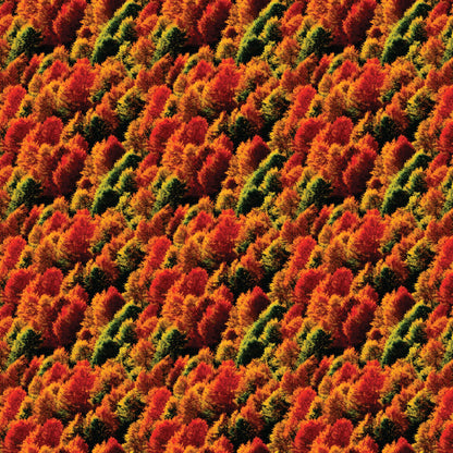 Autumn Trees Pattern Acrylic Sheets - CMB Pattern Acrylic