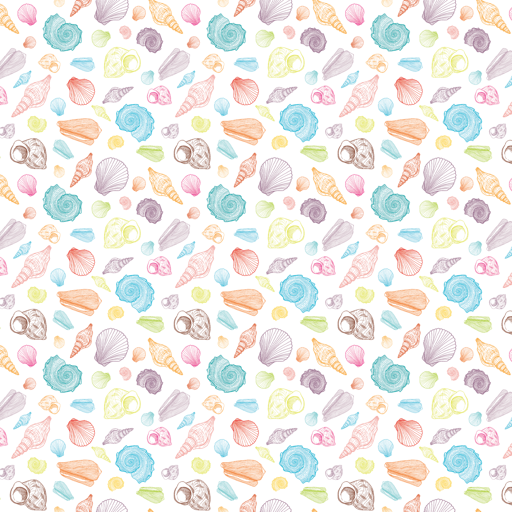 Bright Seashells Pattern Acrylic Sheets - CMB Pattern Acrylic