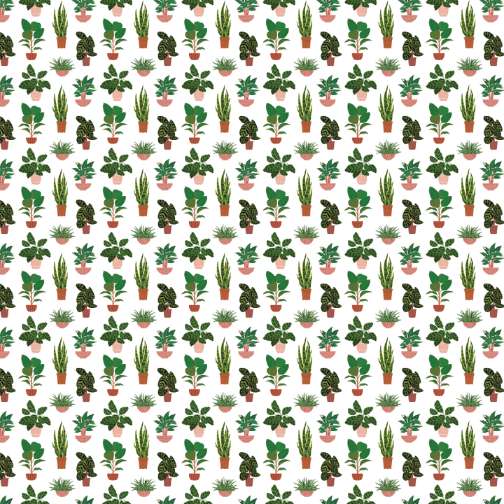 Cactus Pattern Acrylic Sheets - CMB Pattern Acrylic
