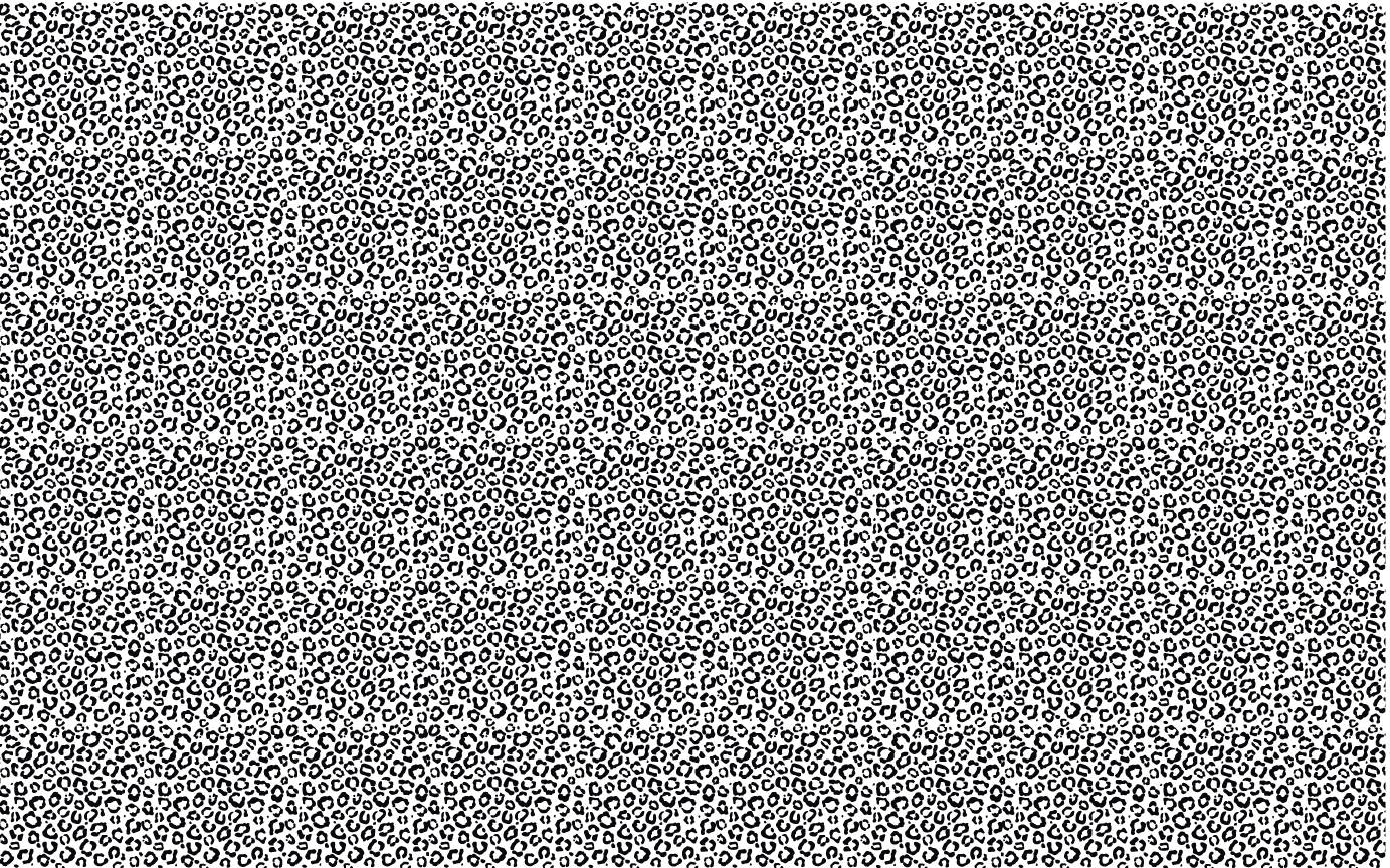 Itty Bitty Black Leopard Pattern Sheet - CMB Pattern Acrylic