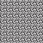 Itty Bitty Cow Print 2 Pattern Acrylic Sheets - CMB Pattern Acrylic