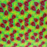 CMB ACRYLIC SHEETS - PATTERN ACRYLIC SHEETS- WHOLESALE ACRYLIC SHEETS