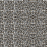 New Leopard Pattern Acrylic Sheet - CMB Pattern Acrylic