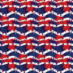 Party in the USA Pattern Acrylic Sheets - CMB Pattern Acrylic