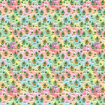 Rainbow Gnomies Pattern Acrylic Sheets - CMB Pattern Acrylic