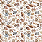 Realistic Seashells Pattern Acrylic Sheets - CMB Pattern Acrylic